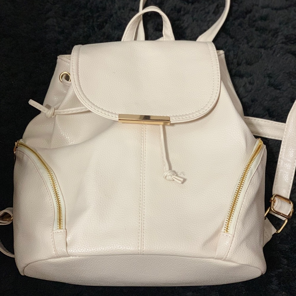 Book bag/purse